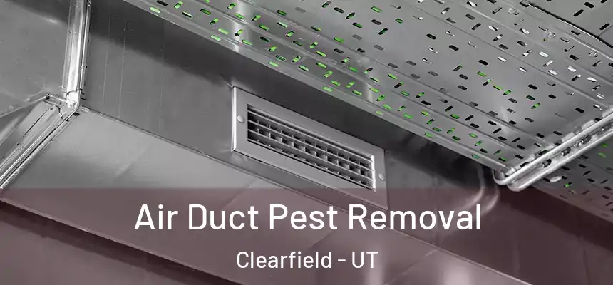 Air Duct Pest Removal Clearfield - UT