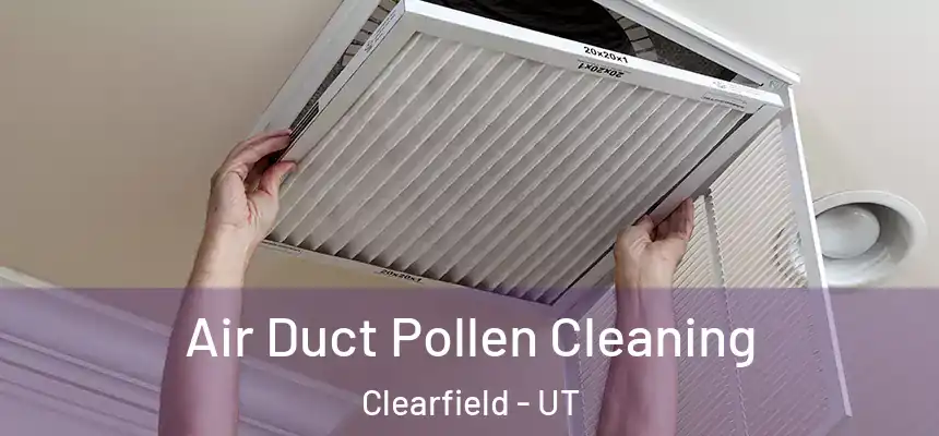 Air Duct Pollen Cleaning Clearfield - UT