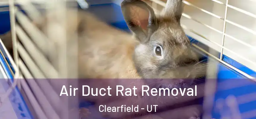 Air Duct Rat Removal Clearfield - UT