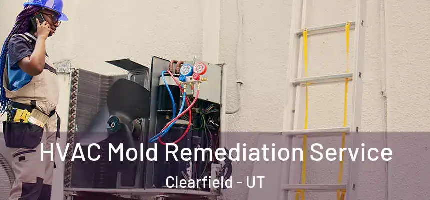  HVAC Mold Remediation Service Clearfield - UT