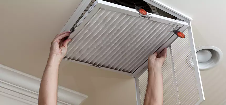 Preventive Cockroach-Proofing for Ducts in Clearfield
