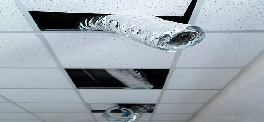 Our Air Duct Pet Hair Removal Services in Clearfield, UT