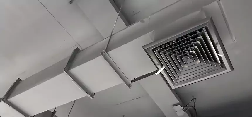 Our Rodent Droppings In Vents Services in Clearfield, UT