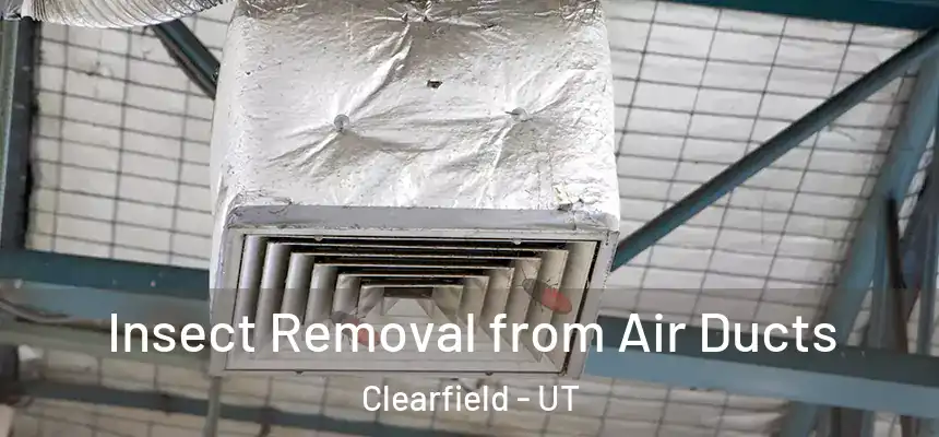  Insect Removal from Air Ducts Clearfield - UT