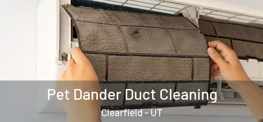  Pet Dander Duct Cleaning Clearfield - UT