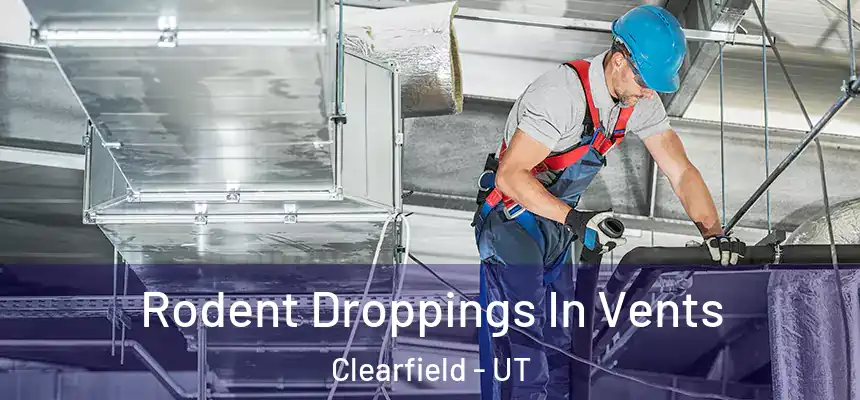  Rodent Droppings In Vents Clearfield - UT