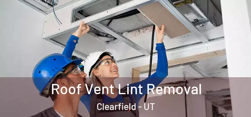  Roof Vent Lint Removal Clearfield - UT