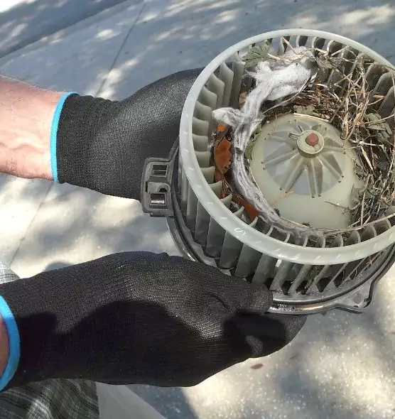 About Air Duct Rat Removal in Clearfield, UT