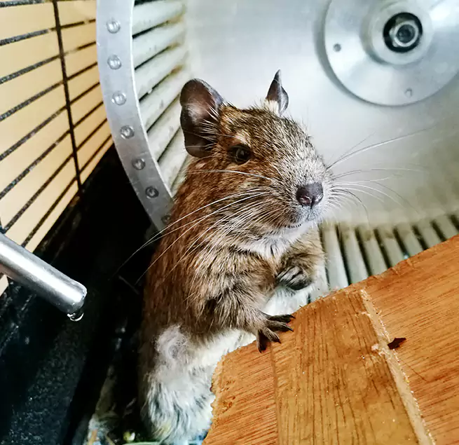 Why Homeowners & Businesses Trust Us Clearfield, UT?